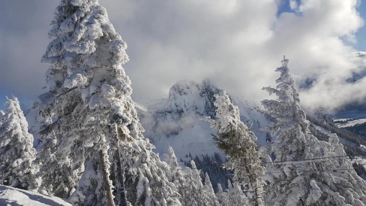 Alpenchalet Vils Tirol Εξωτερικό φωτογραφία